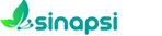Sinapsi